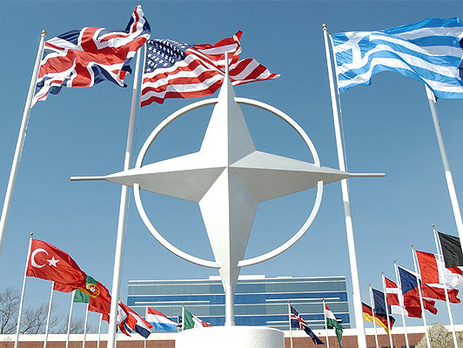 FAZ: В связи с конфликтом на Донбассе НАТО организует прямую телефонную линию с Россией