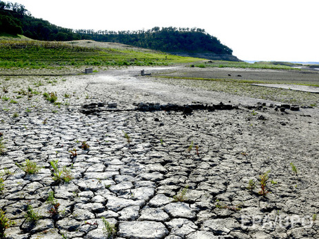 В учащении экстремальных погодных явлений обвинили людей