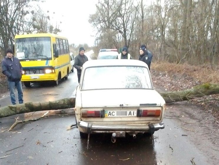 Через вітер в Україні 47 населених пунктів залишилися без світла, пошкоджено дахи 75 будинків, упало понад 100 дерев – ДСНС
