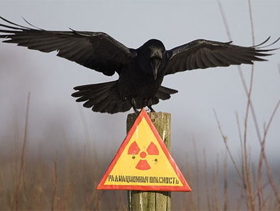 ГосЧС: Радиационный фон в Киеве втрое ниже нормы