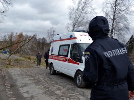 У Вінницькій області дерево вбило жінку