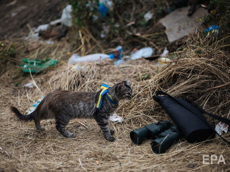 Бойовики на Донбасі один раз порушили режим припинення вогню – штаб операції Об'єднаних сил