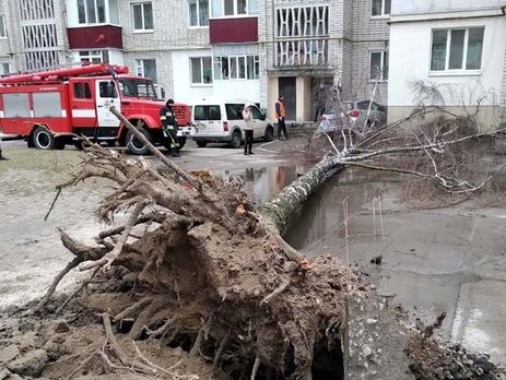 Через вітер в Україні 11 березня загинуло дві людини, госпіталізовано двох дорослих і двох дітей – ДСНС