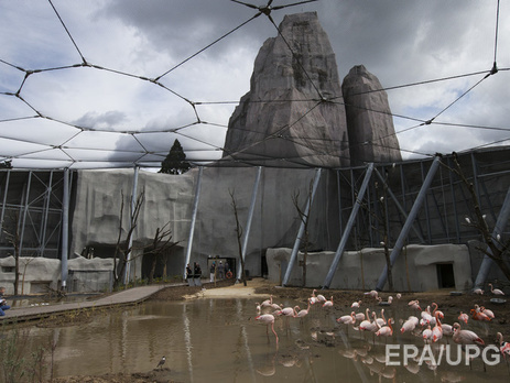 Во Франции из зоопарка украли 17 редких обезьян