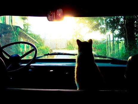 ГАИ просит водителей быть аккуратными на дорогах в связи со штормовым предупреждением