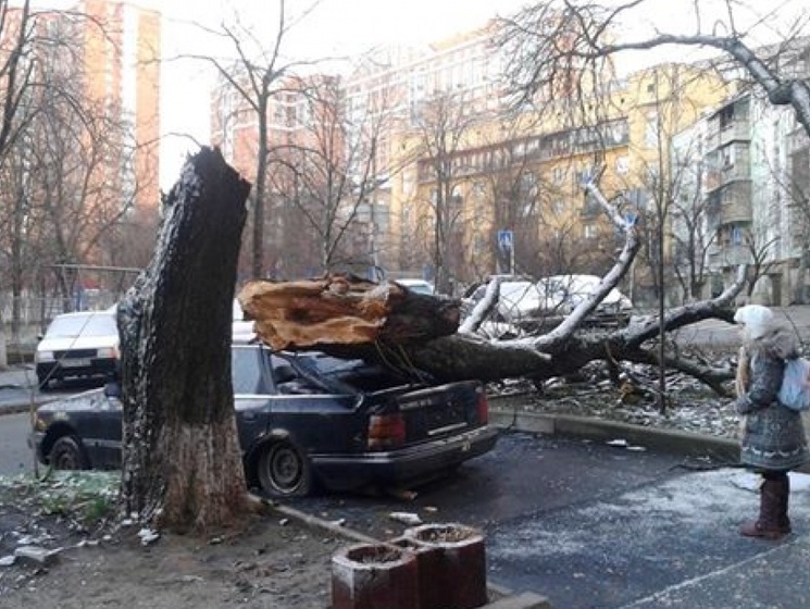 В Киеве объявили штормовое предупреждение из-за сильного ветра