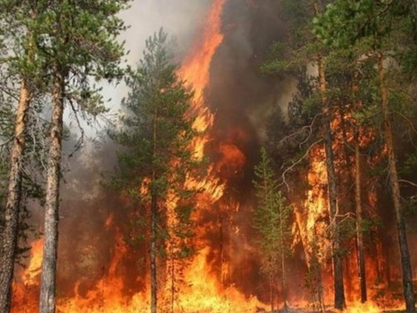 Пожар в Забайкалье угрожает детскому центру отдыха и поселку