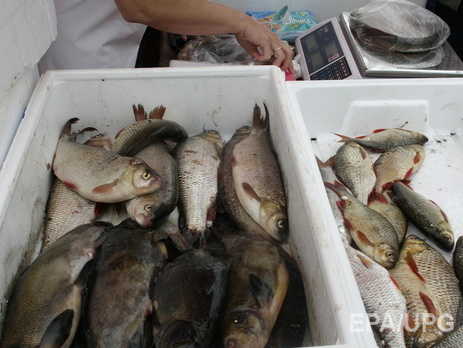 Россельхознадзор на следующей неделе запретит поставки рыбной продукции из Эстонии и Латвии