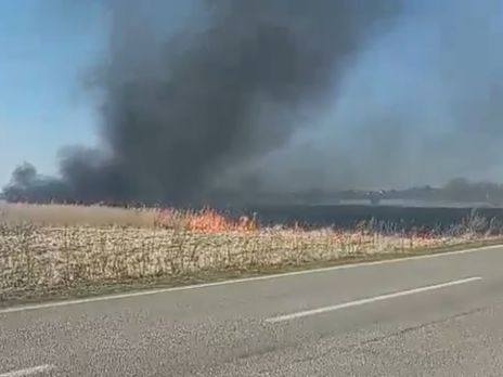 Пожар на подъезде к Ровно локализовали – 