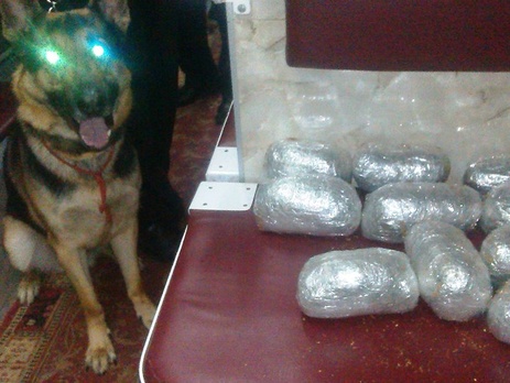 Харьковские таможенники не позволили вывезти в Россию 7 кг 