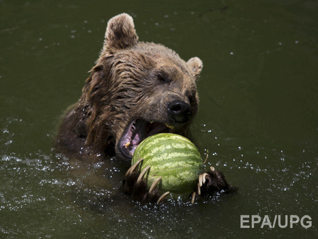 Гидрометцентр: Завтра в Украину вернутся грозы и жара за 30 градусов