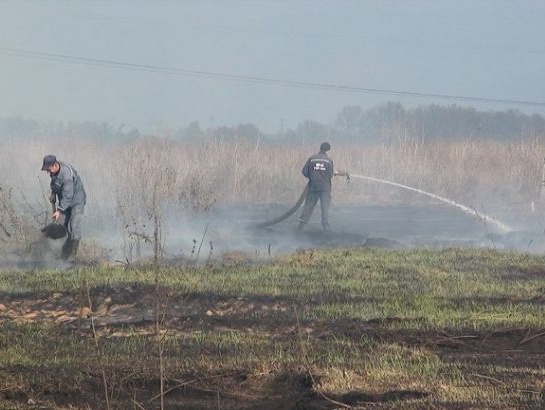 В трех районах Киевской области горят торфяники