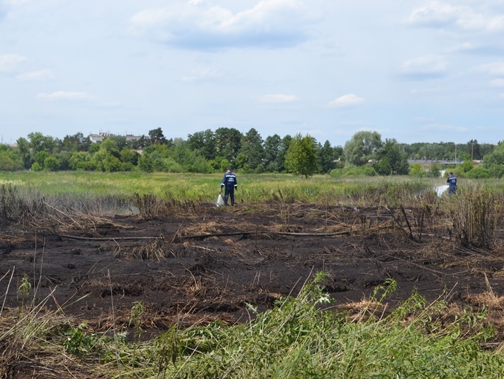 КГГА: Из-за пожара на торфяниках содержание загрязняющих веществ в Киеве превышает норму в 1,12–4,00 раз