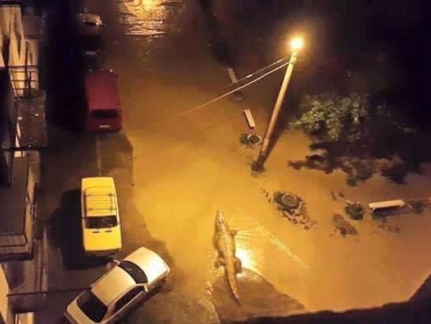 Власти Тбилиси подтвердили гибель восьми человек в результате наводнения