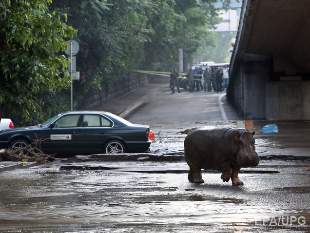 Дайджест 14 июня: Наливайченко вызывают на допрос, наводнение в Тбилиси, в Мариуполе возобновили подачу газа
