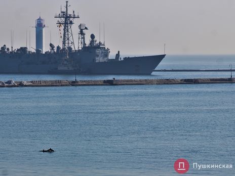 Santa Maria вошла в порт Одессы в сопровождении дельфинов