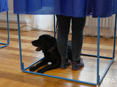 Полиция Украины открыла 61 уголовное производство, связанное с нарушением избирательного законодательства