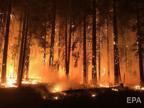 27 спасателей погибли в Китае во время тушения лесного пожара