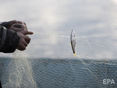 В Україні набула чинності заборона на вилов риби на період нересту. Інофографіка