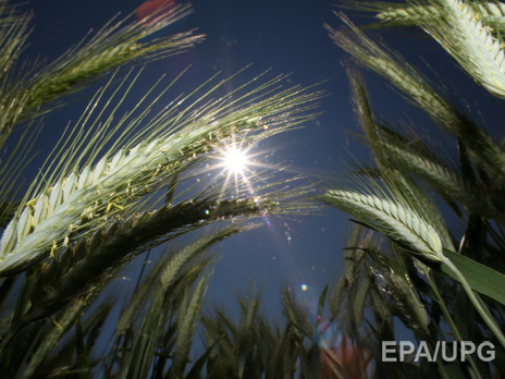 Гидрометцентр: В ближайшие дни ожидаются дожди и грозы