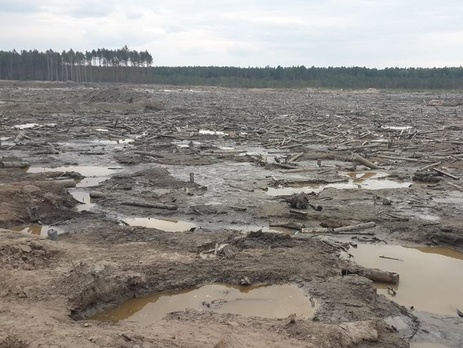 Автомайдан: В Житомирской области неизвестные начали незаконную добычу янтаря, тысячи гектаров леса вырублены и сожжены. Фоторепортаж