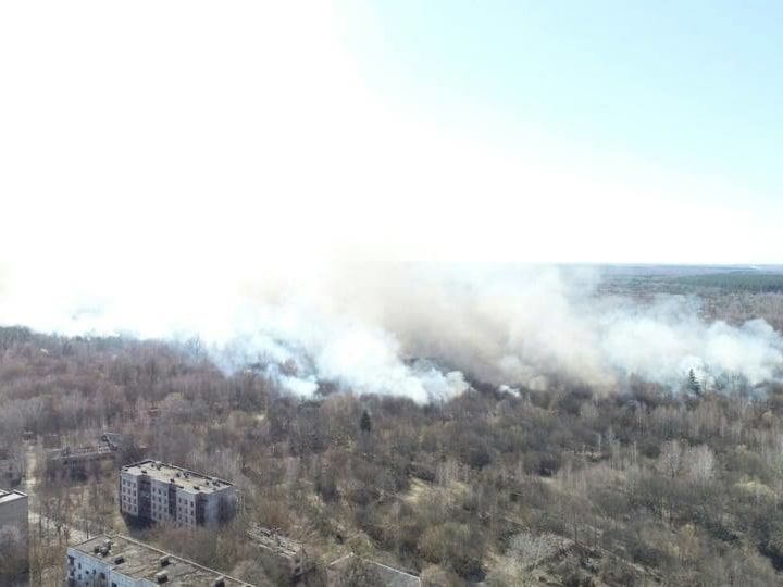 В Чернобыльской зоне произошел пожар &ndash; загорелось 20 га травы