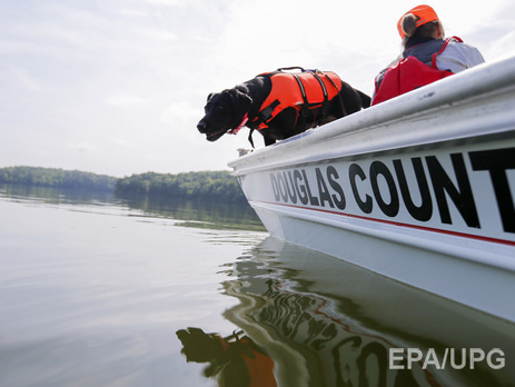 Сбежавший из тбилисского зоопарка пингвин доплыл по реке до Азербайджана