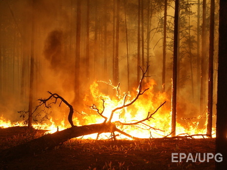 Забайкалье вновь охватили лесные пожары
