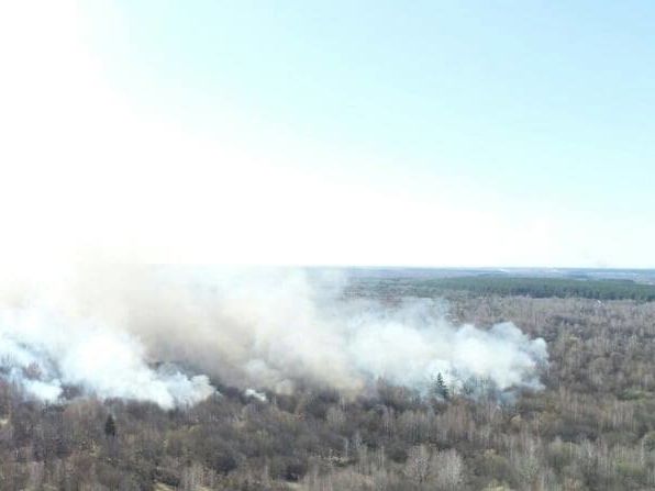 Пожар на территории Межреченского регионального ландшафтного парка локализован &ndash; Госслужба по ЧС