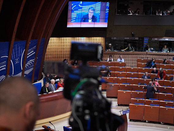 Арьев: Большое количество членов ПАСЕ против "химической самокастрации" Совета Европы