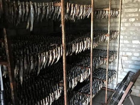 В Полтавской области СБУ задержала несколько бригад браконьеров, в состав которых входили рыбинспекторы