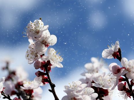 В Украине 10 апреля ожидаются дожди с грозами – Укргидрометцентр