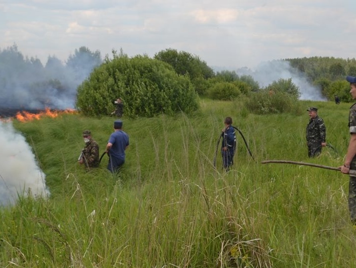 Глава ГСЧС Чечеткин: возгорание травы в "Чернобыльской пуще" локализовано 