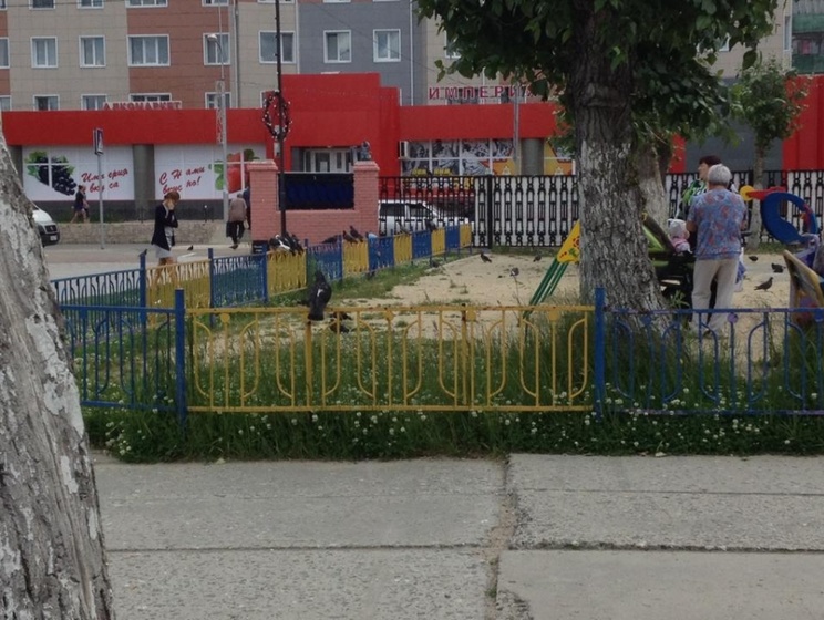 Помощник депутата Госдумы РФ нашел на детской площадке в Ханты-Мансийском округе следы проукраинских экстремистов