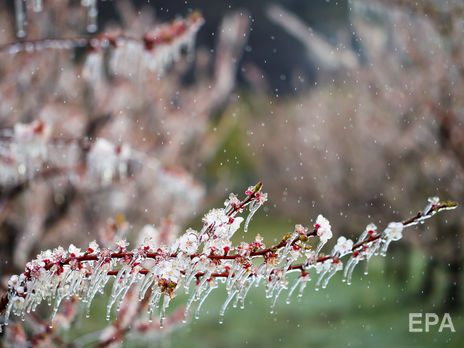 В западных областях 13 апреля местами ожидаются заморозки – Укргидрометцентр