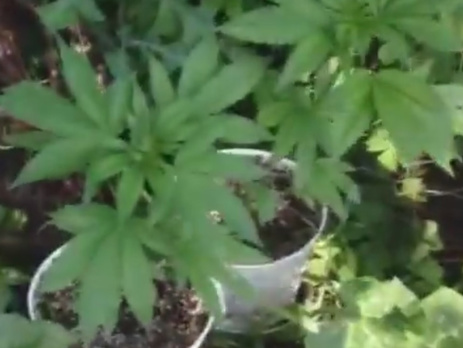 В Краматорске СБУ ликвидировала три нарколаборатории. Видео