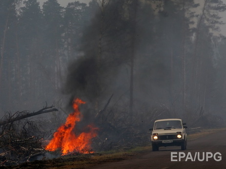 В Сибири огонь охватил 50 тысяч гектаров леса