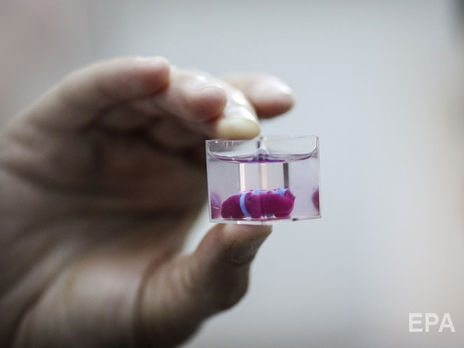 Израильские ученые на 3D-принтере напечатали уменьшенную копию человеческого сердца, используя клетки пациента