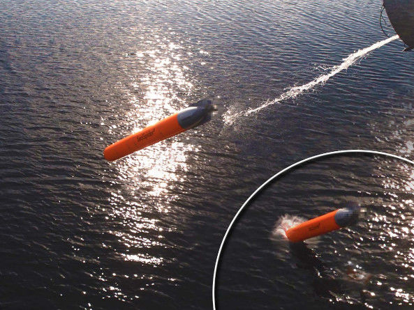 ﻿У США відмовилися від подальших випробувань проекту торпед-перехоплювачів – ЗМІ