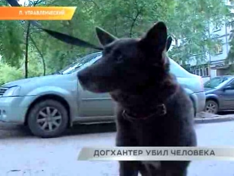 В Самаре пьяный догхантер зарезал женщину, пытавшуюся защитить бездомных собак