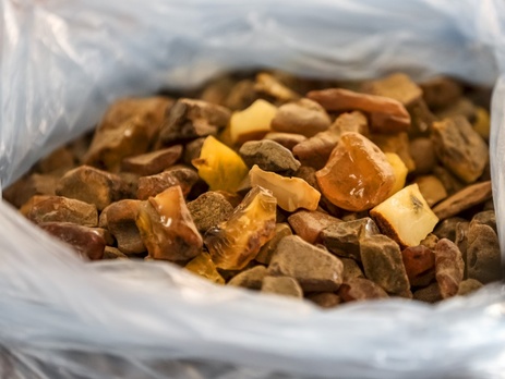 Порошенко: Сегодня задержаны 82 кг контрабанды янтаря