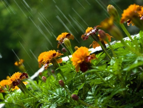 В ближайшие сутки дожди покинут почти всю территорию Украины