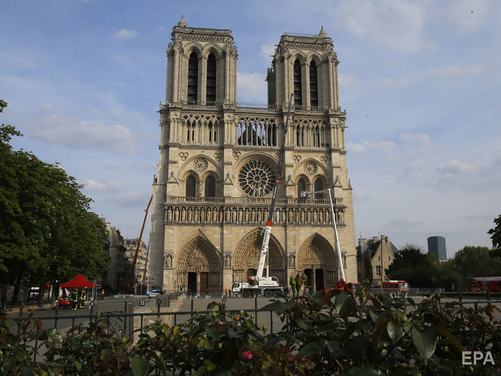 ﻿Під час пожежі в соборі Паризької Богоматері вижили 180 тис. бджіл