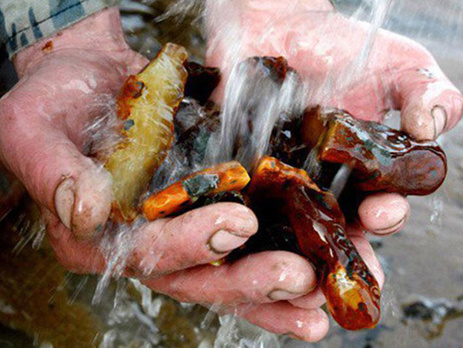 На Волыни будут судить копателей янтаря