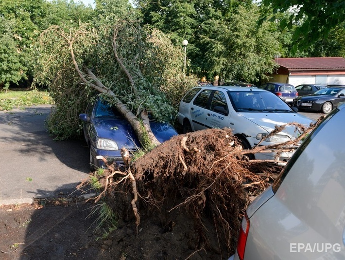 Ураганный ветер в Польше обесточил около 500 тыс. домов. Один человек погиб