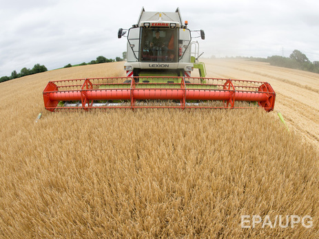 СБУ блокировала незаконный экспорт пшеницы на 13 млн гривен через один из портов Николаева