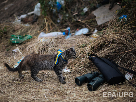 Соцопрос: Большинство украинцев видят выходом из конфликта на Донбассе мирные переговоры