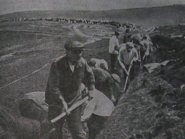 Киевлянка Хорошунова в дневнике 1941 года: Окопы продолжают строить. Но жизнь пробуждается с каждым днем. Некоторые учреждения вновь начинают работать