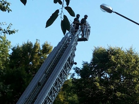 Во Львове освободили из плена заложницу – нелегальную мигрантку. Видео