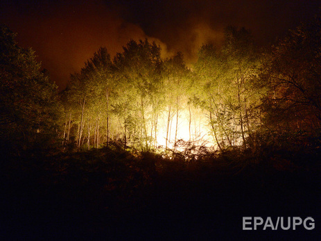 Во Франции крупный лесной пожар тушат с помощью авиации